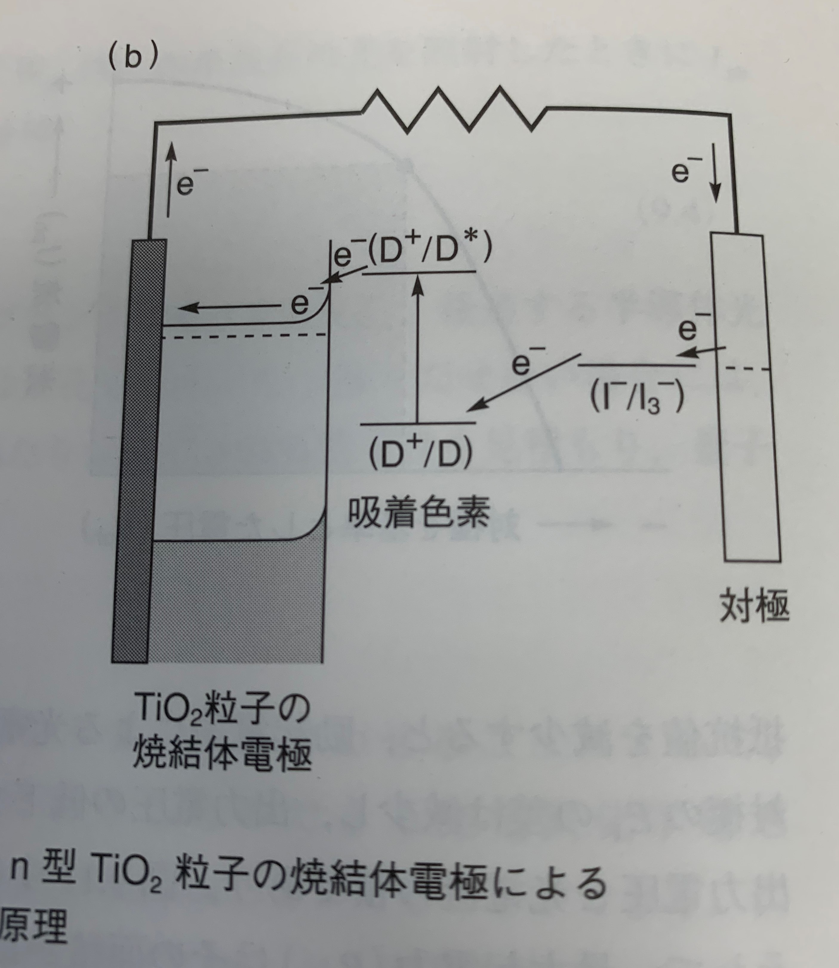 ヨード反応 ヨード反応