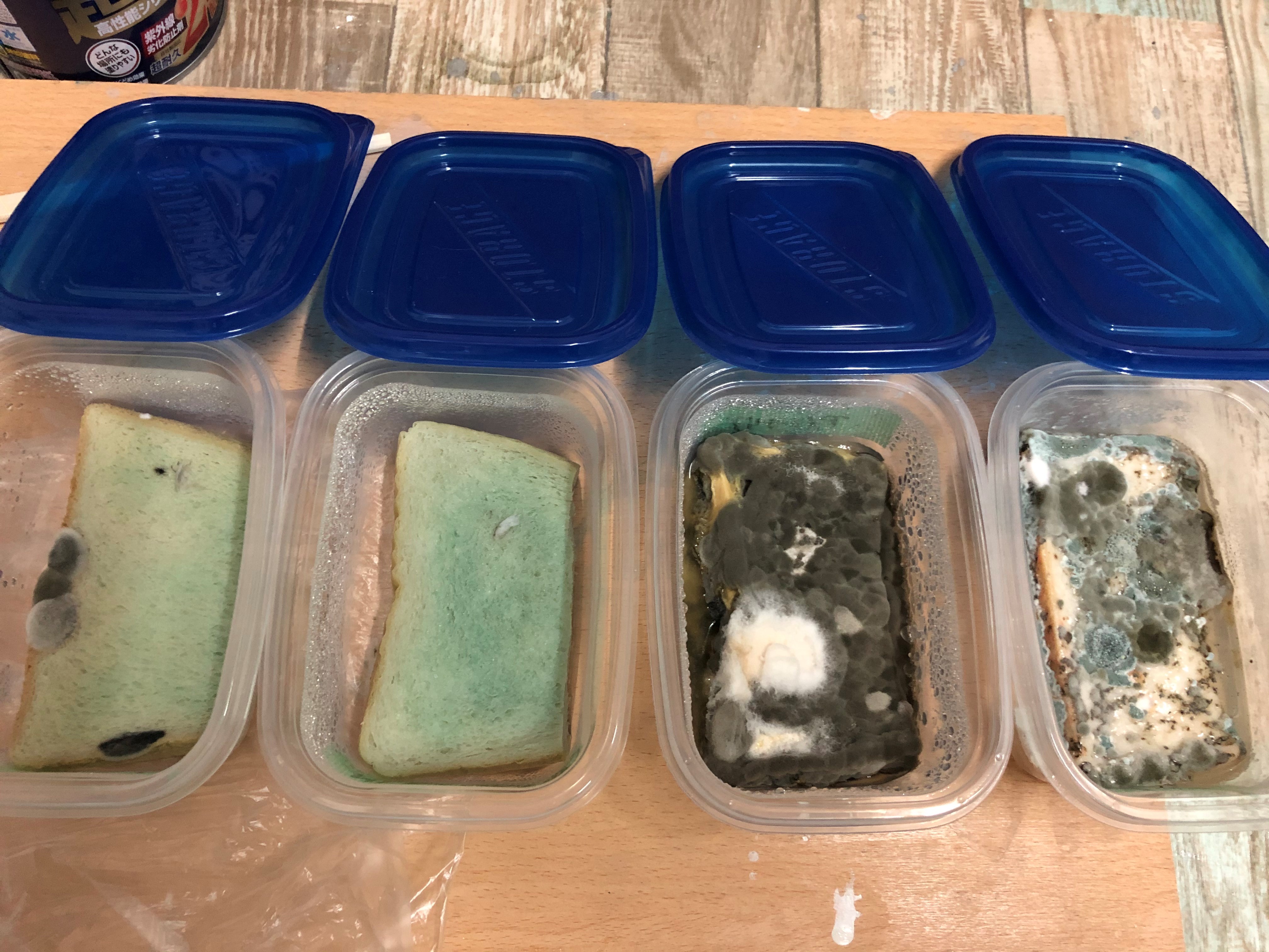 4週間後 4週間後