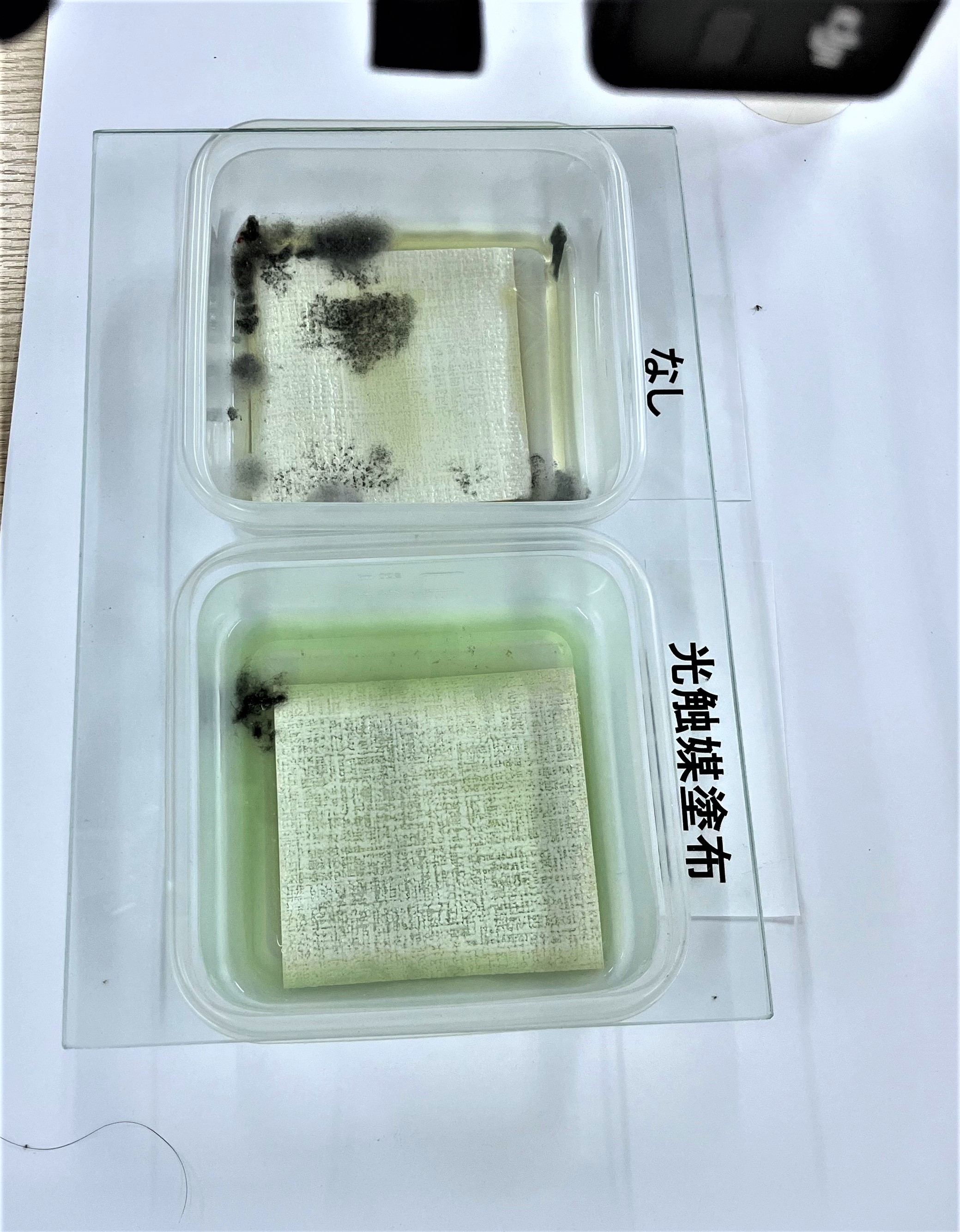 48時間後