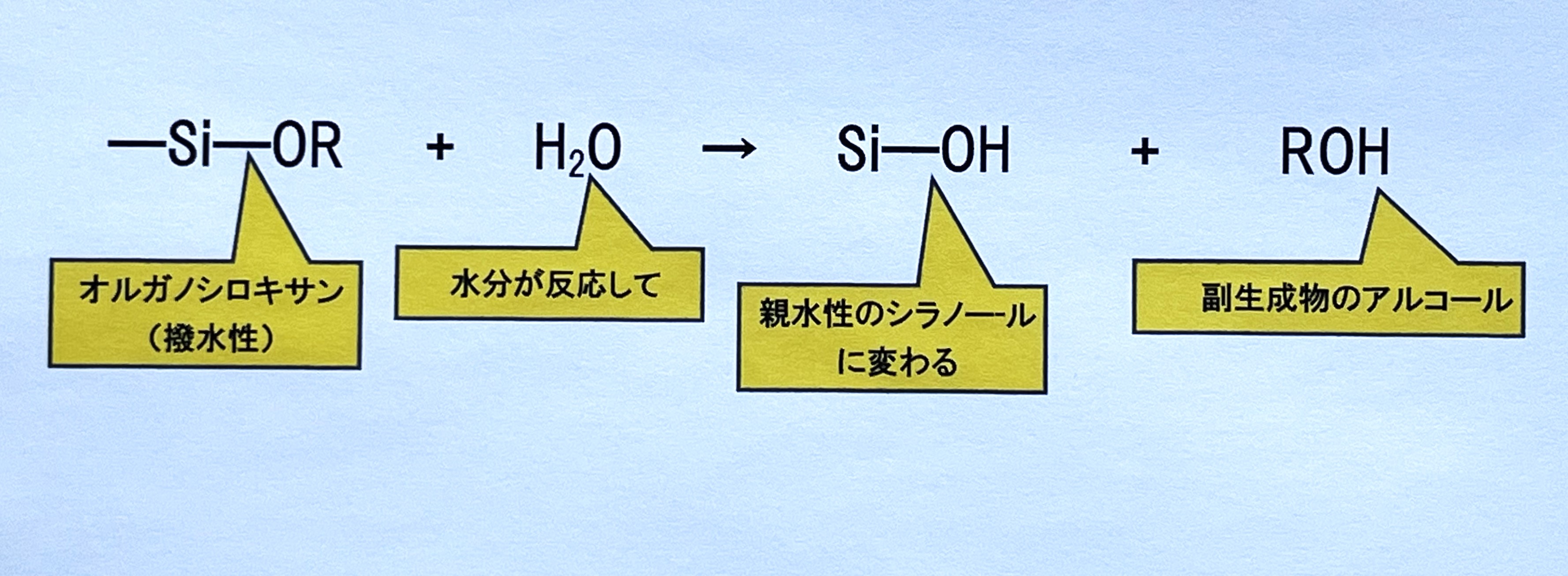シラノール