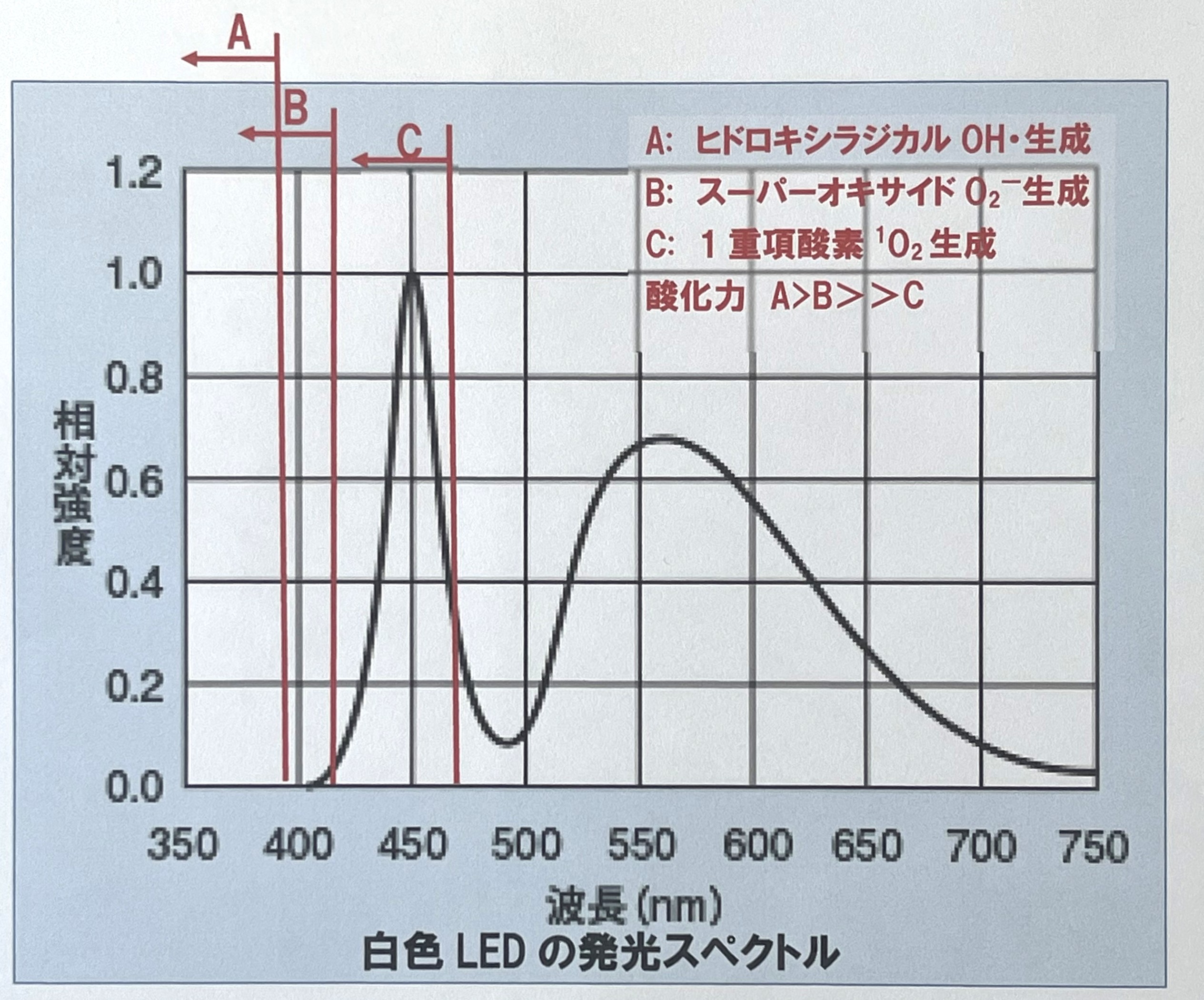 �X�y�N�g��