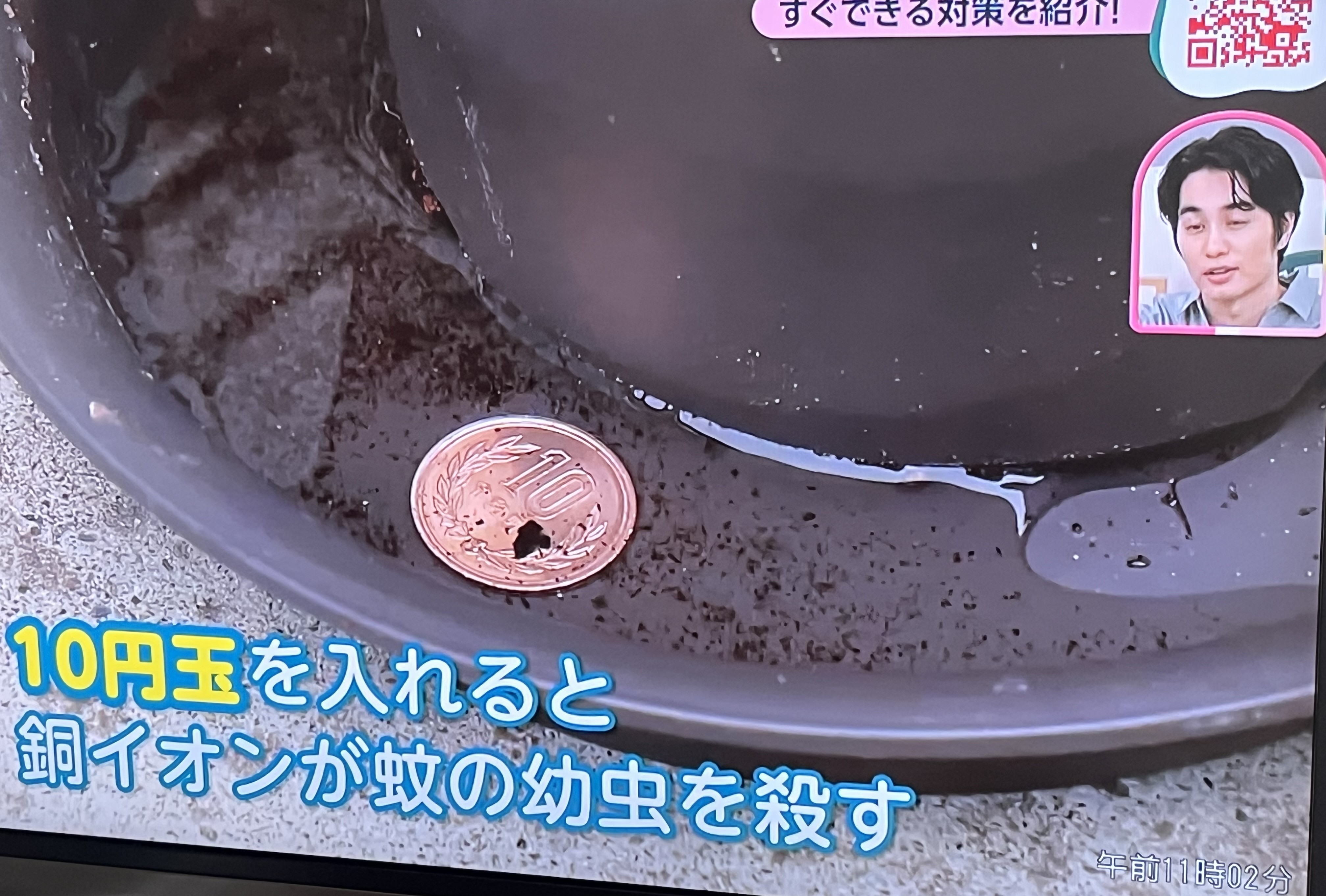 NHK1