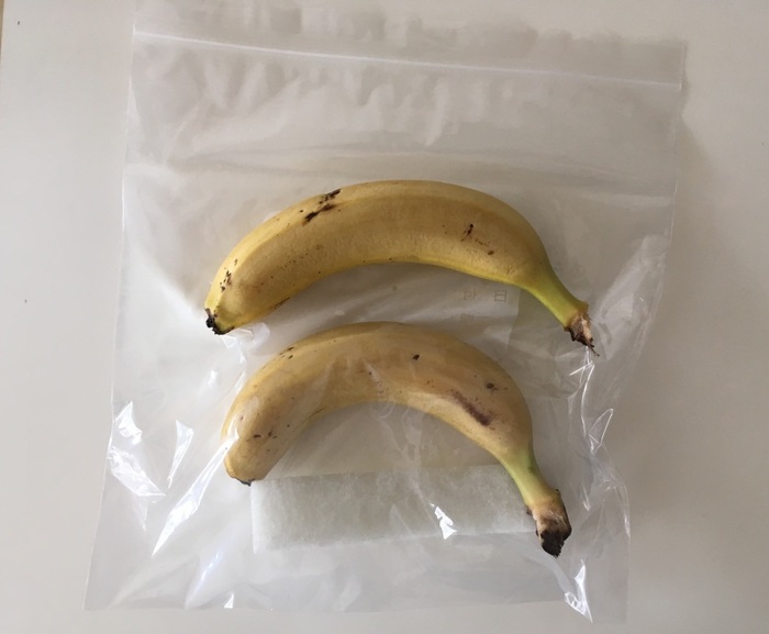 過熟実験開始 過熟実験開始
